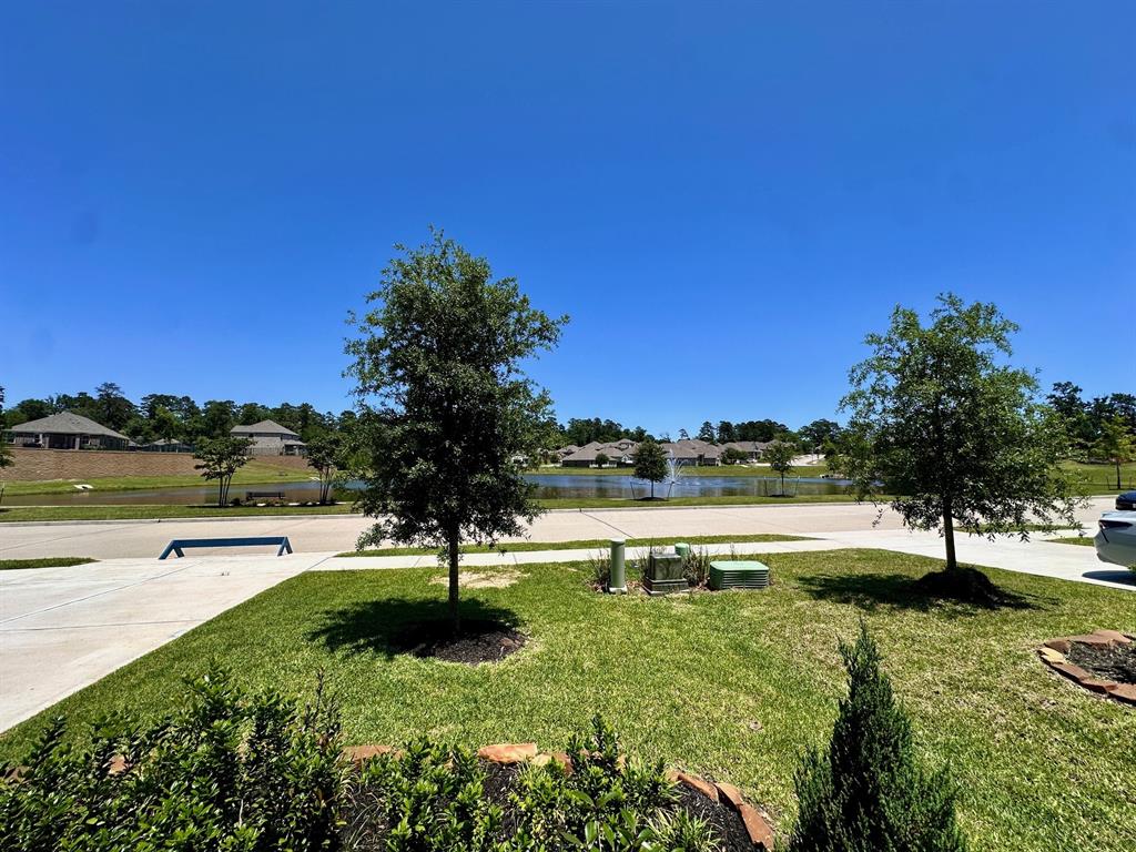 6151 White Spruce Drive
