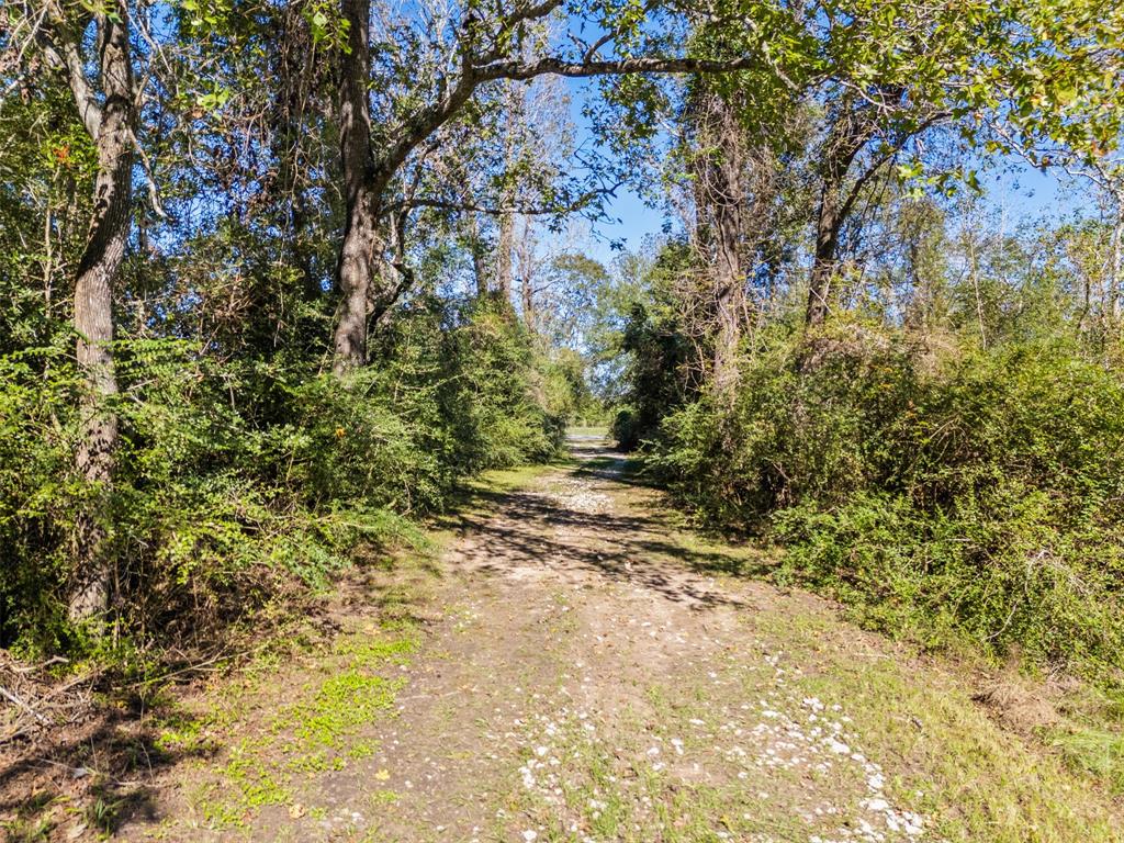 15255 Highway 105, Cleveland, Texas image 9