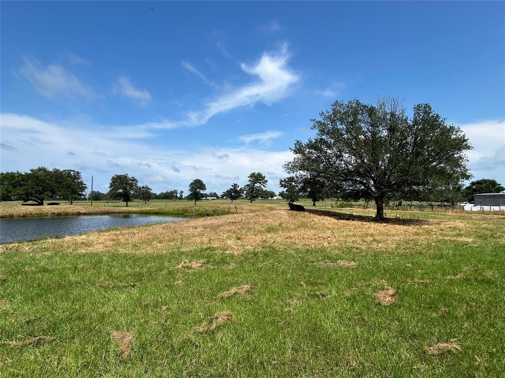 38535 Wiggins Road, Hempstead, Texas image 1