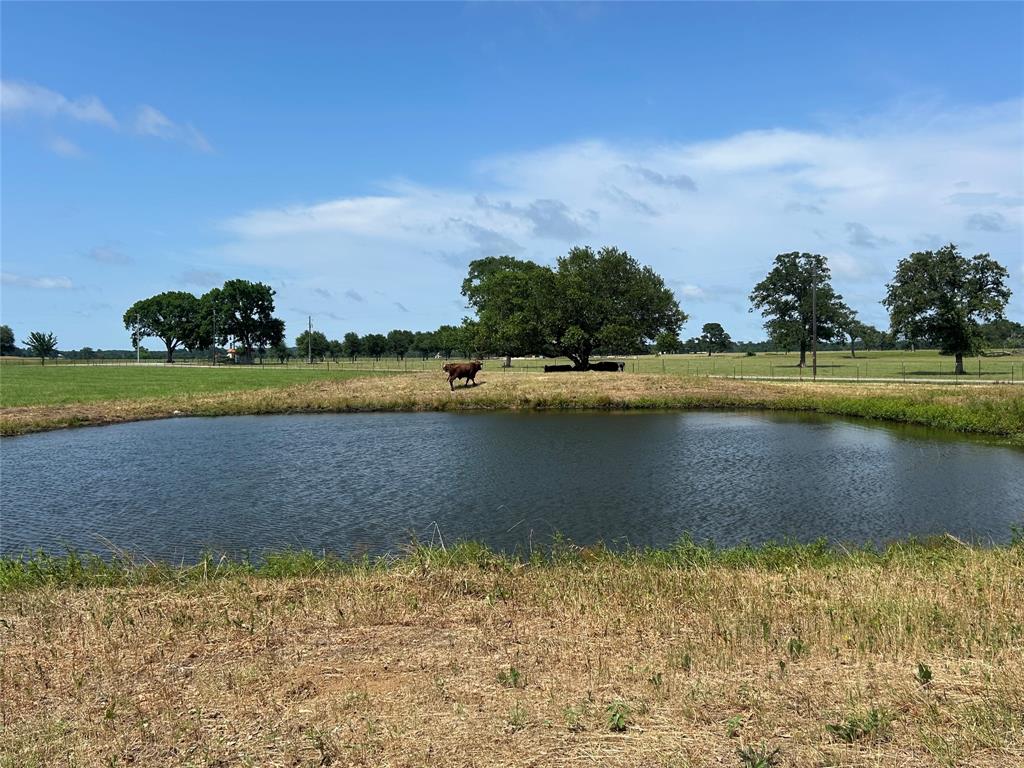 38535 Wiggins Road, Hempstead, Texas image 3