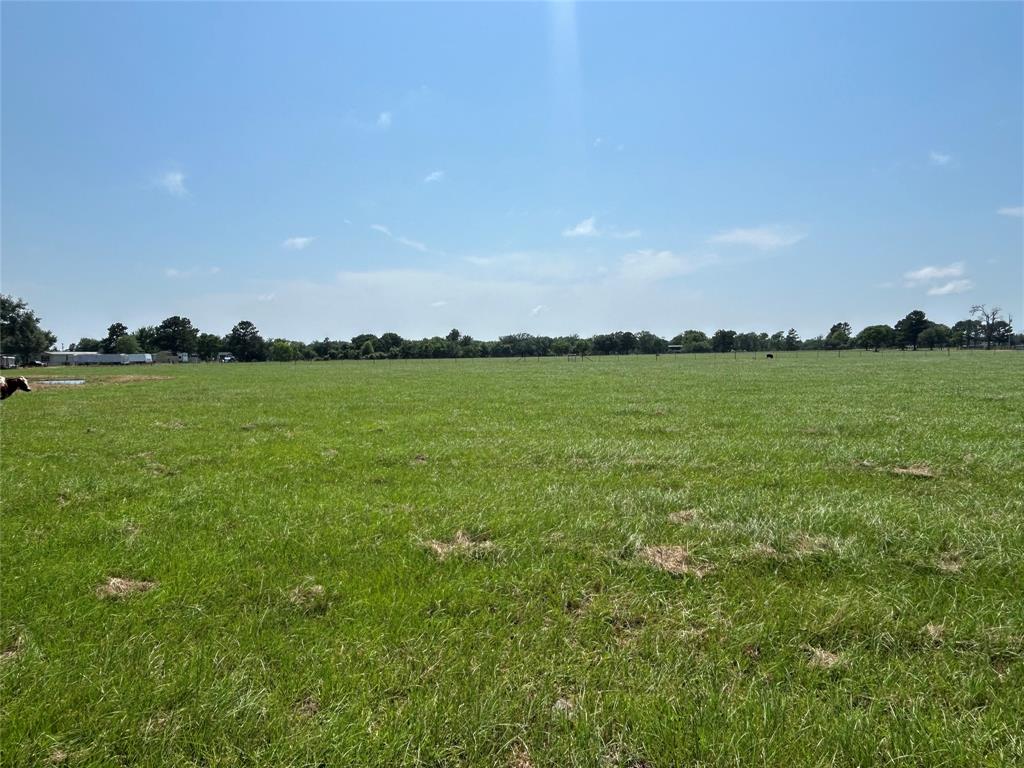 38535 Wiggins Road, Hempstead, Texas image 14