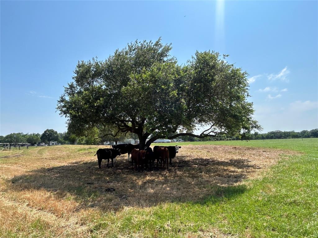 38535 Wiggins Road, Hempstead, Texas image 11