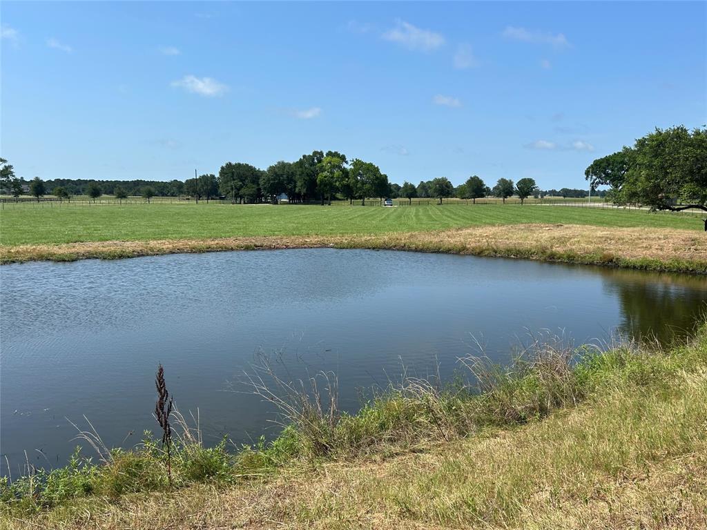 38535 Wiggins Road, Hempstead, Texas image 7