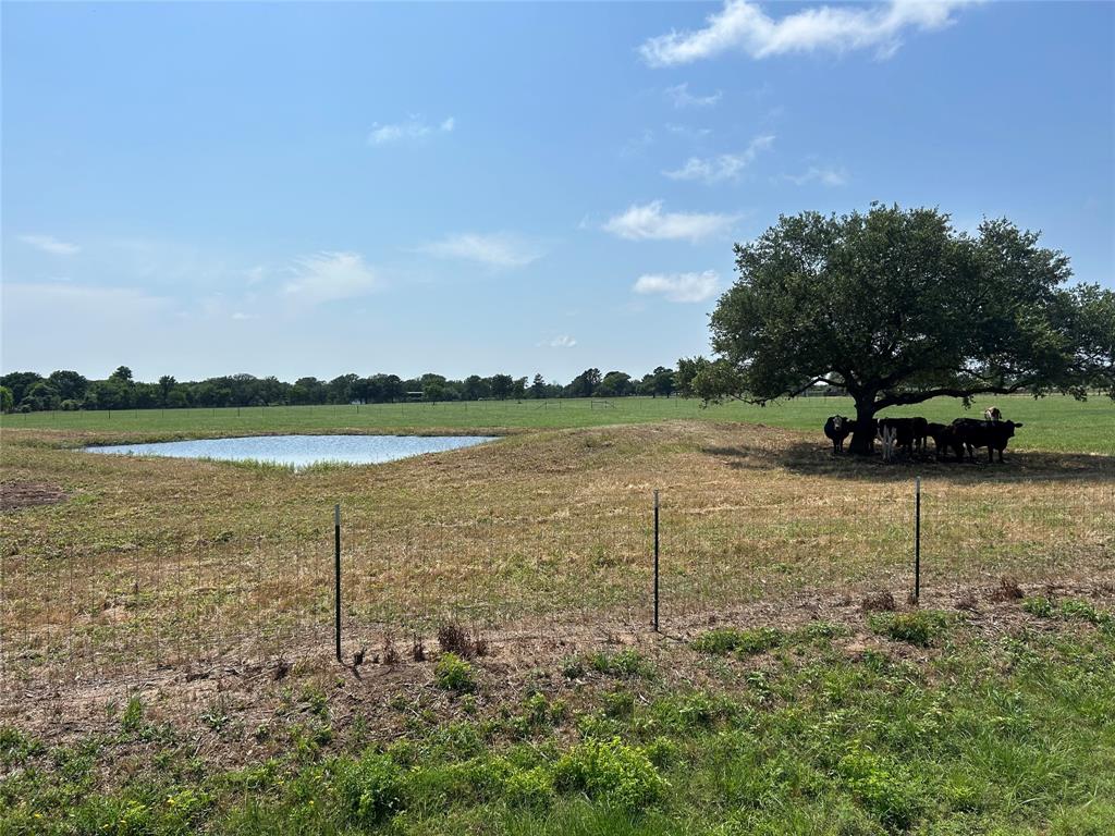 38535 Wiggins Road, Hempstead, Texas image 12