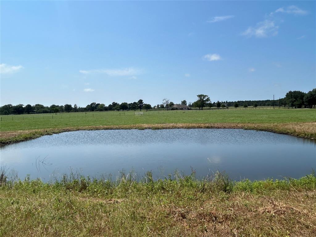 38535 Wiggins Road, Hempstead, Texas image 8
