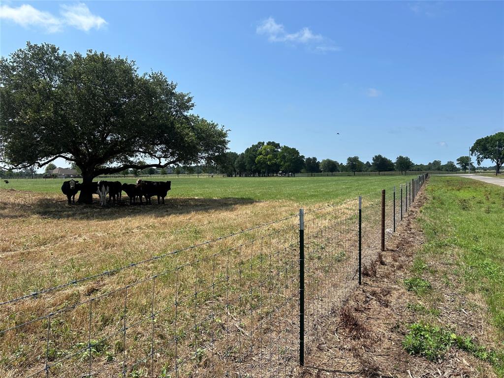 38535 Wiggins Road, Hempstead, Texas image 16