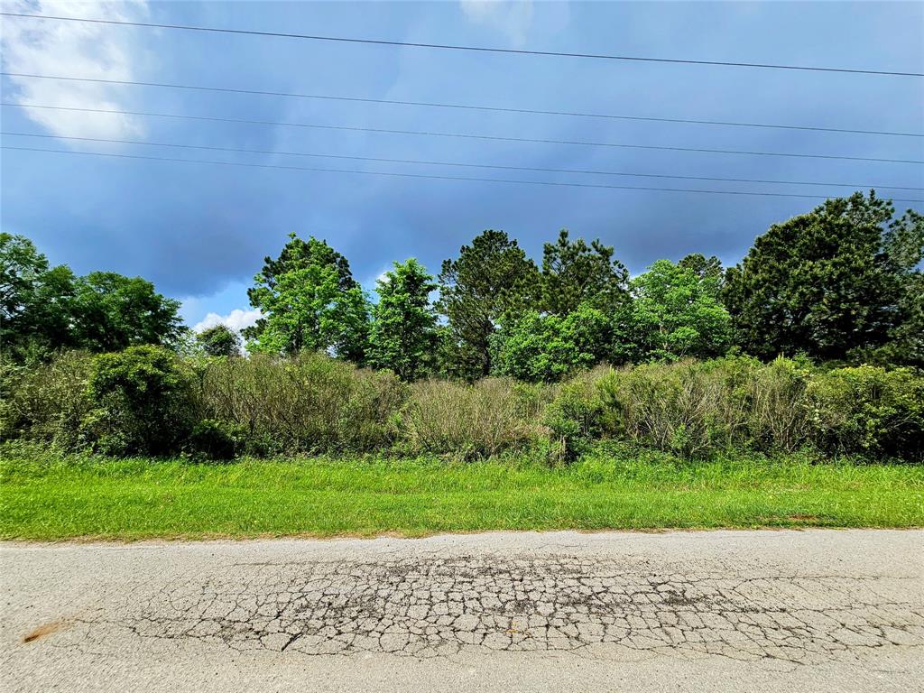 3737 Bruce Lot 8 Road, Poteet, Texas image 7