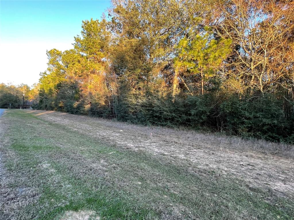 28921 Mustang Drive, Waller, Texas image 7