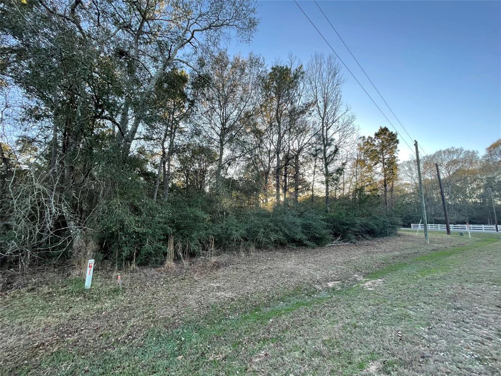 28921 Mustang Drive, Waller, Texas image 4