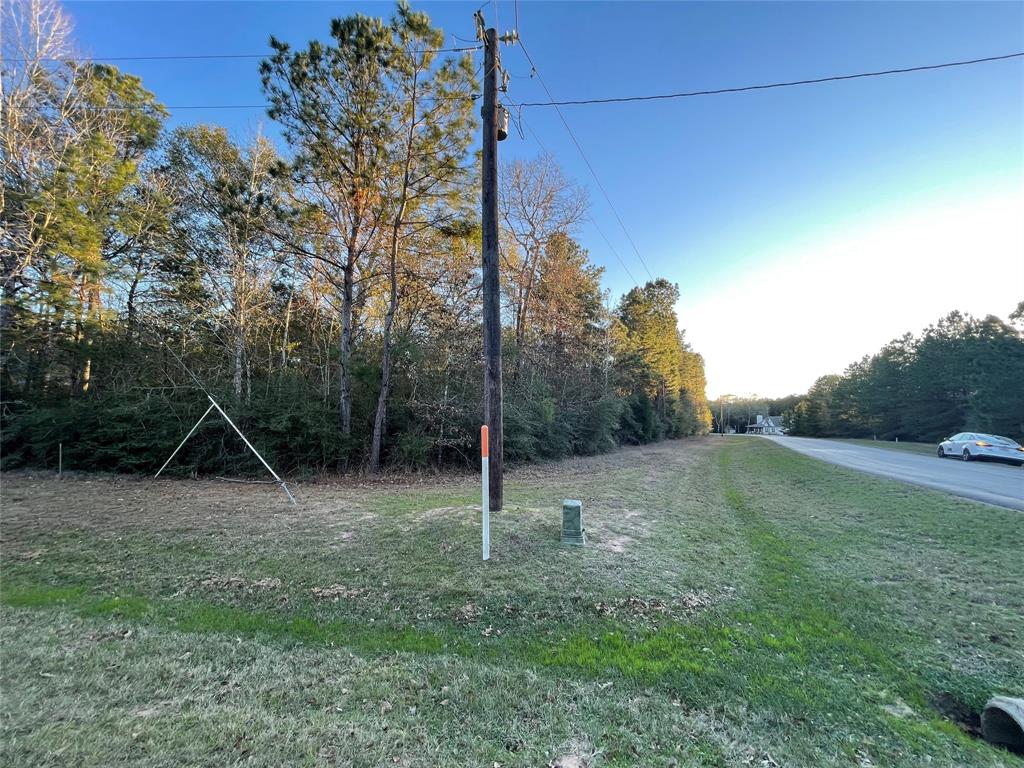 28921 Mustang Drive, Waller, Texas image 5