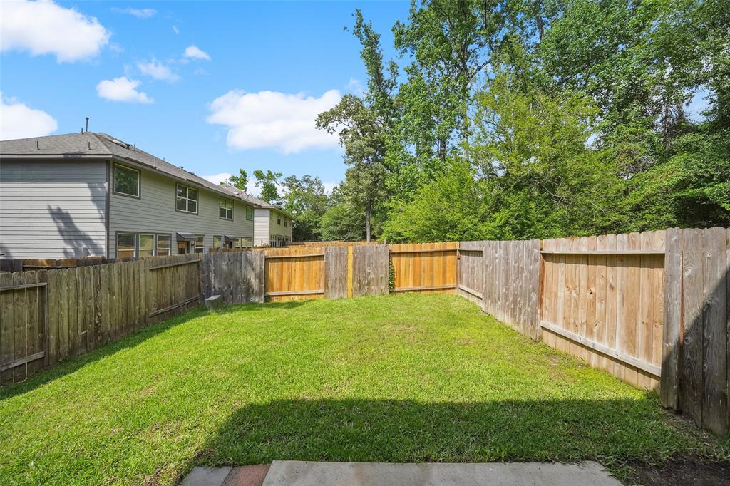 10 Fairlee Court, The Woodlands, Texas image 28
