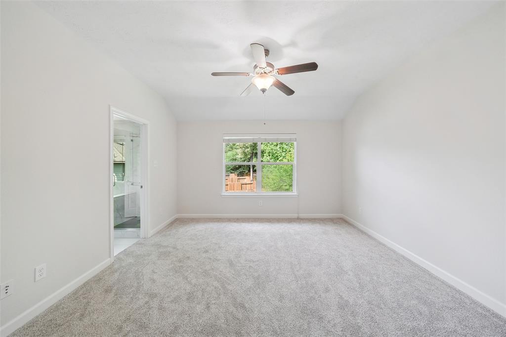 10 Fairlee Court, The Woodlands, Texas image 20