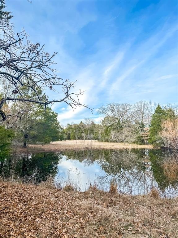 TBD County Road 630, Teague, Texas image 5