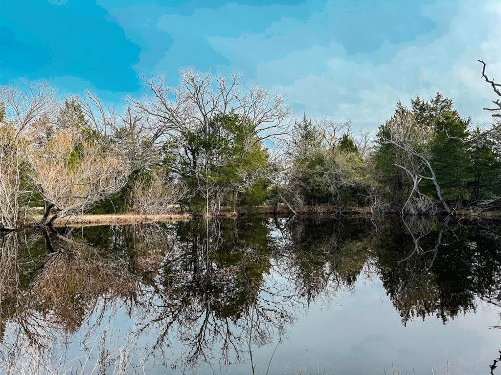 TBD County Road 630, Teague, Texas image 1