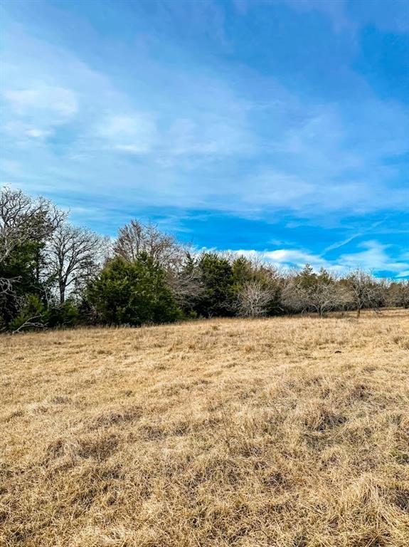 TBD County Road 630, Teague, Texas image 2