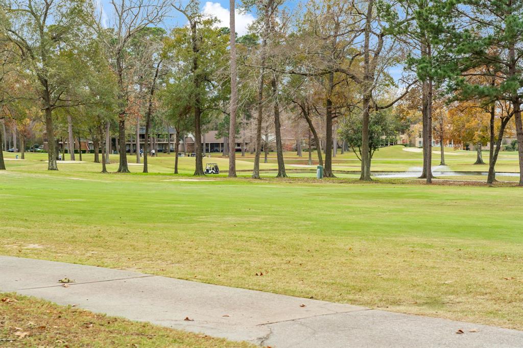 12900 Walden Road #812H, Montgomery, Texas image 29
