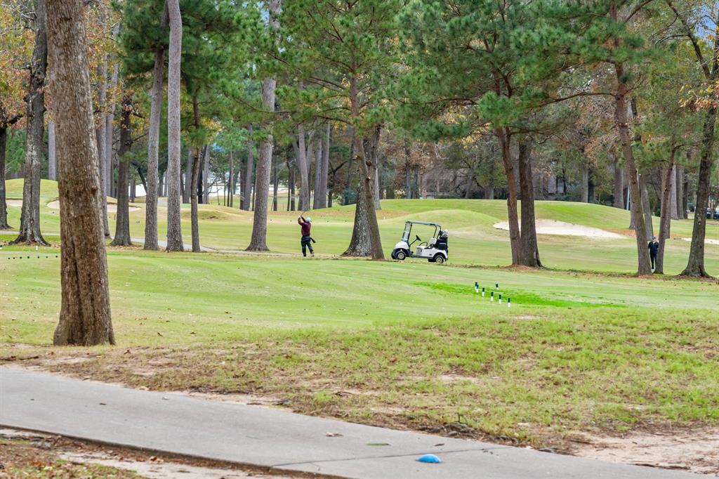 12900 Walden Road #812H, Montgomery, Texas image 23