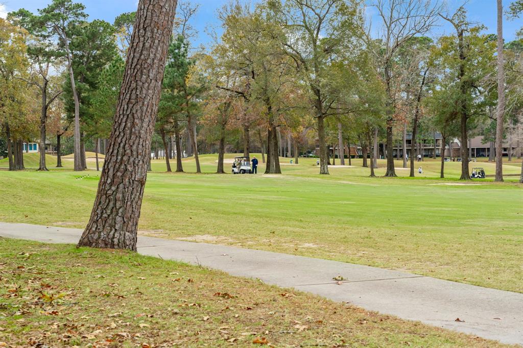 12900 Walden Road #812H, Montgomery, Texas image 30
