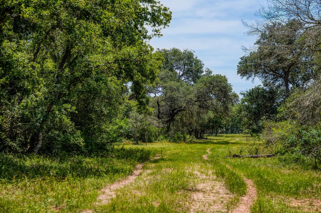 0000 Sandy Creek Rd, Garwood, Texas image 5