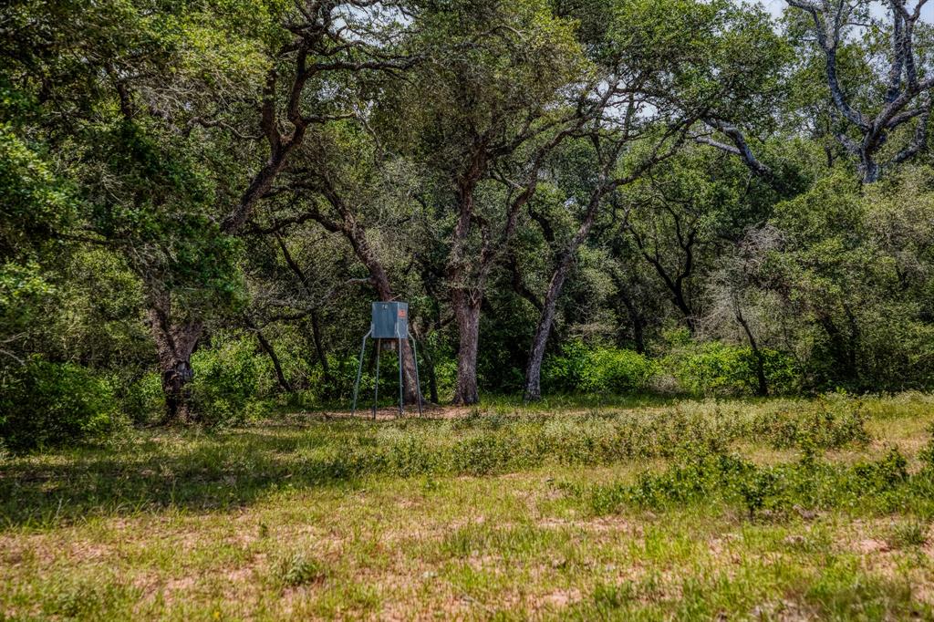 0000 Sandy Creek Rd, Garwood, Texas image 7
