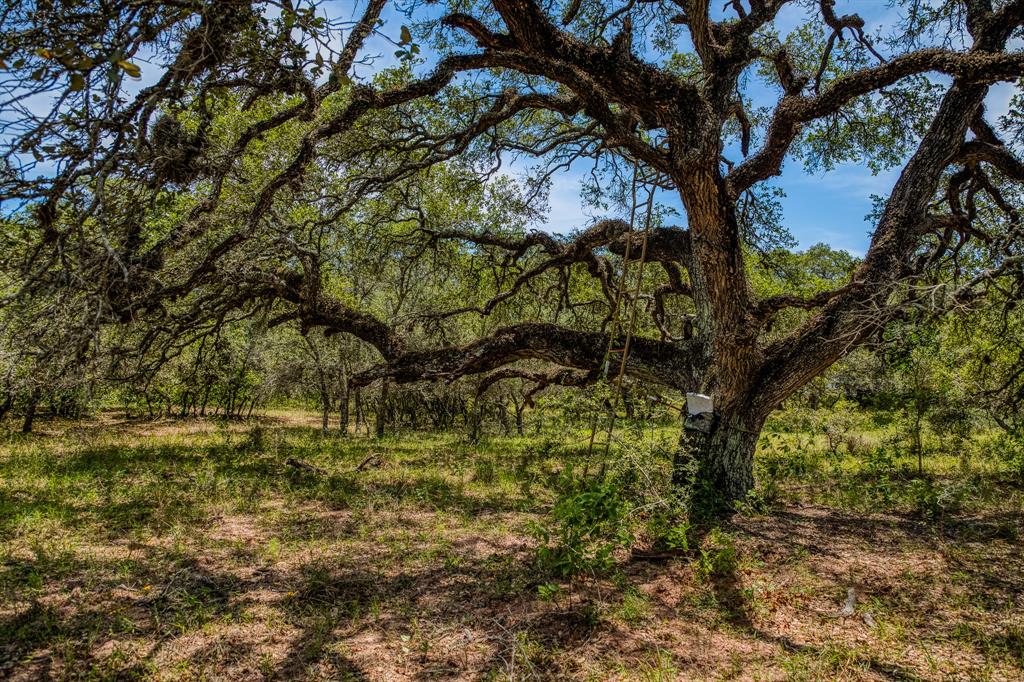 0000 Sandy Creek Rd, Garwood, Texas image 10