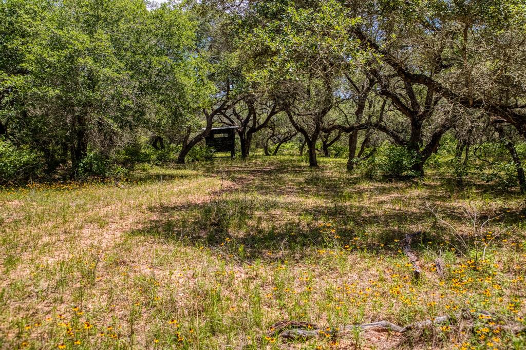 0000 Sandy Creek Rd, Garwood, Texas image 6