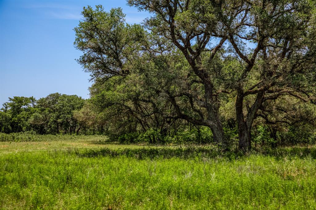 0000 Sandy Creek Rd, Garwood, Texas image 3