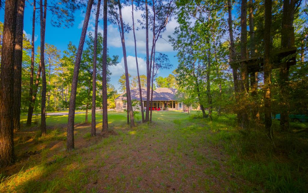 32705 Sunrise Drive, Magnolia, Texas image 9