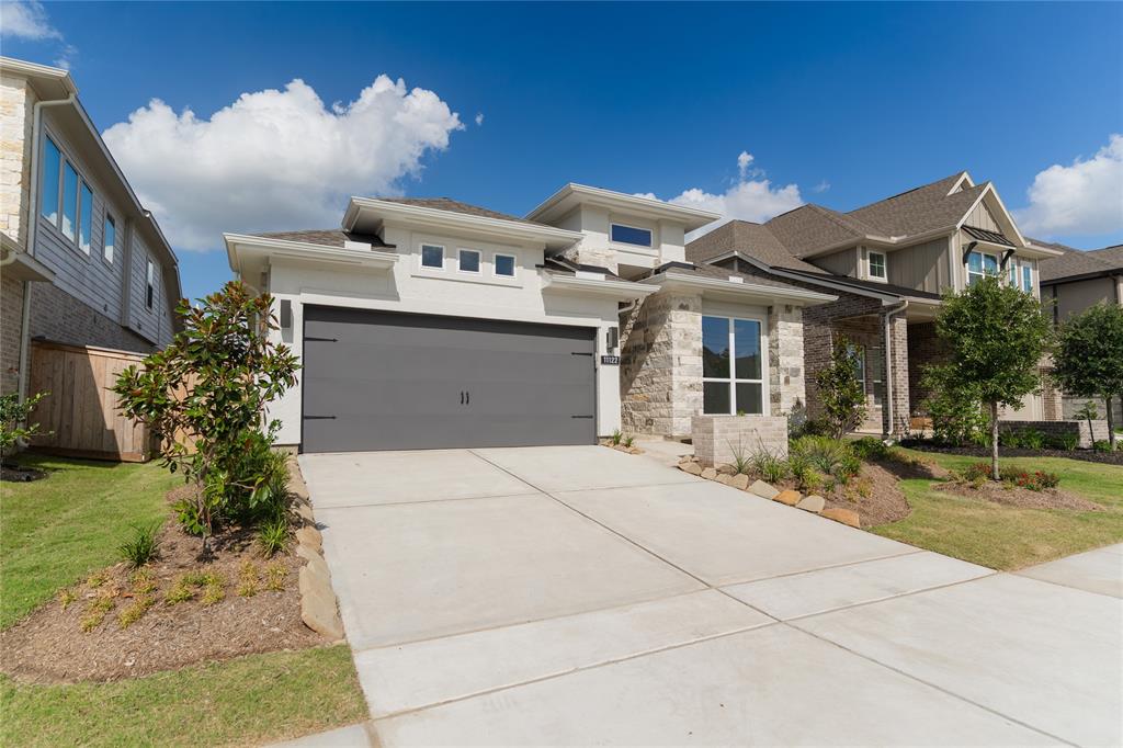 11122 Pale Tipped Way