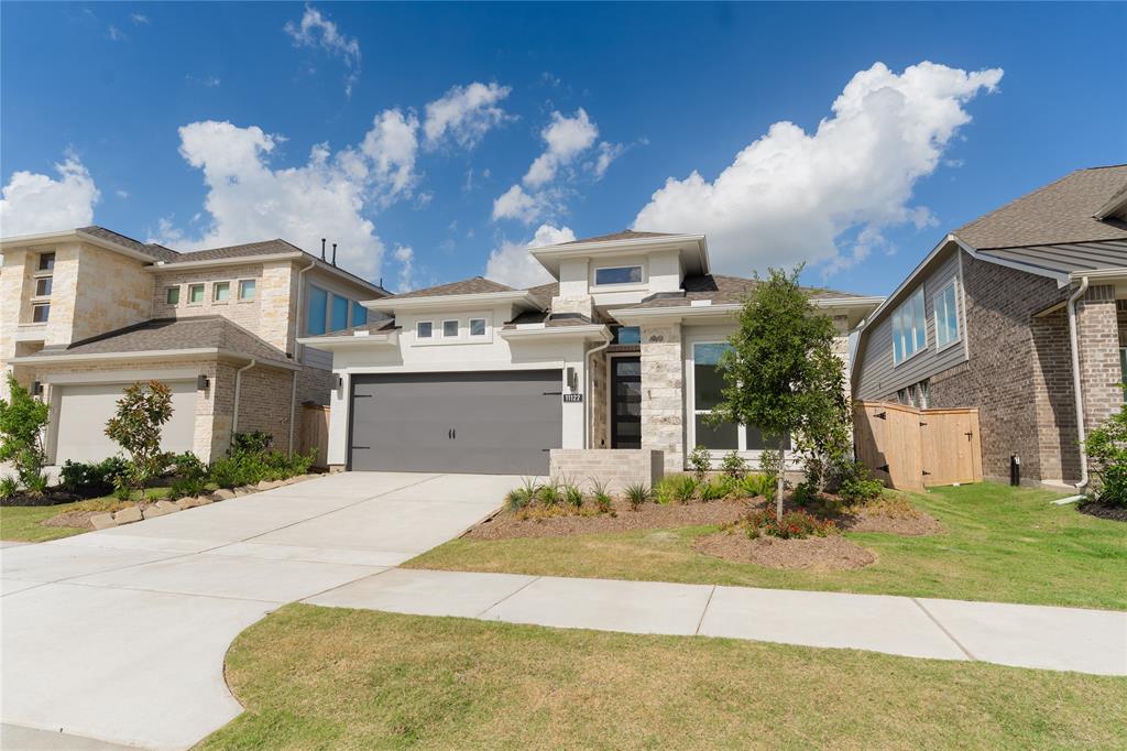 11122 Pale Tipped Way