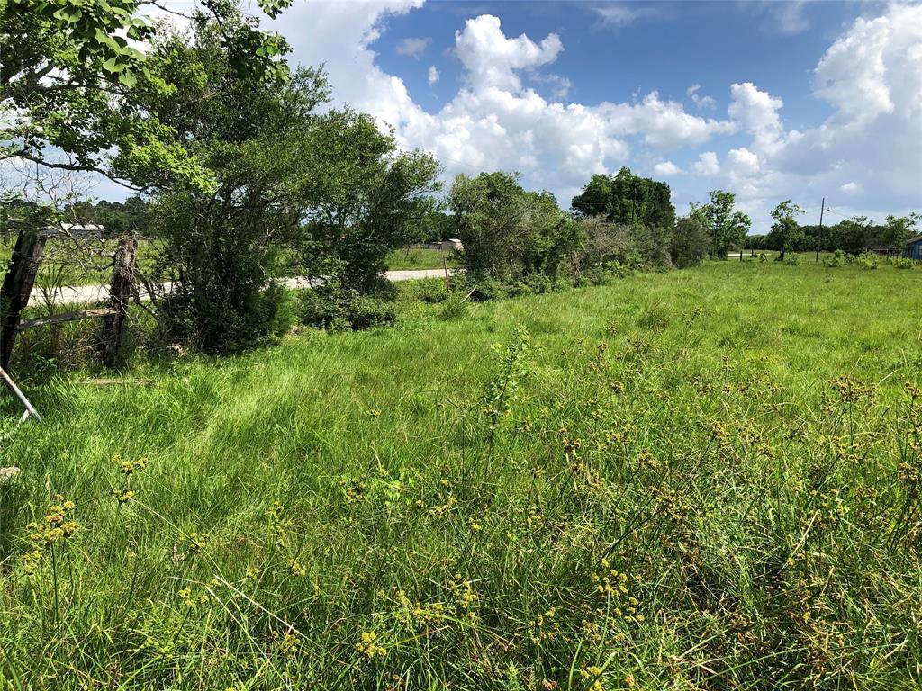 TBD County Road 182, Raywood, Texas image 4