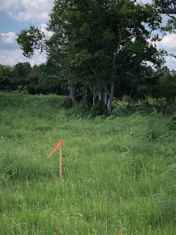 TBD County Road 182, Raywood, Texas image 17