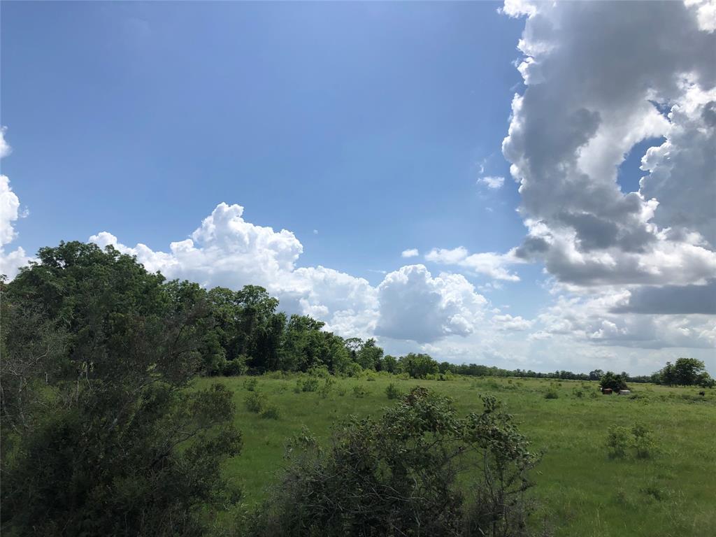 TBD County Road 182, Raywood, Texas image 9