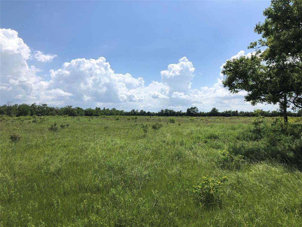 TBD County Road 182, Raywood, Texas image 2