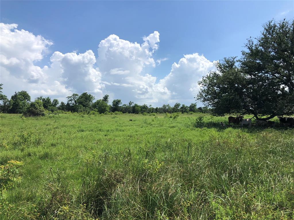 TBD County Road 182, Raywood, Texas image 10