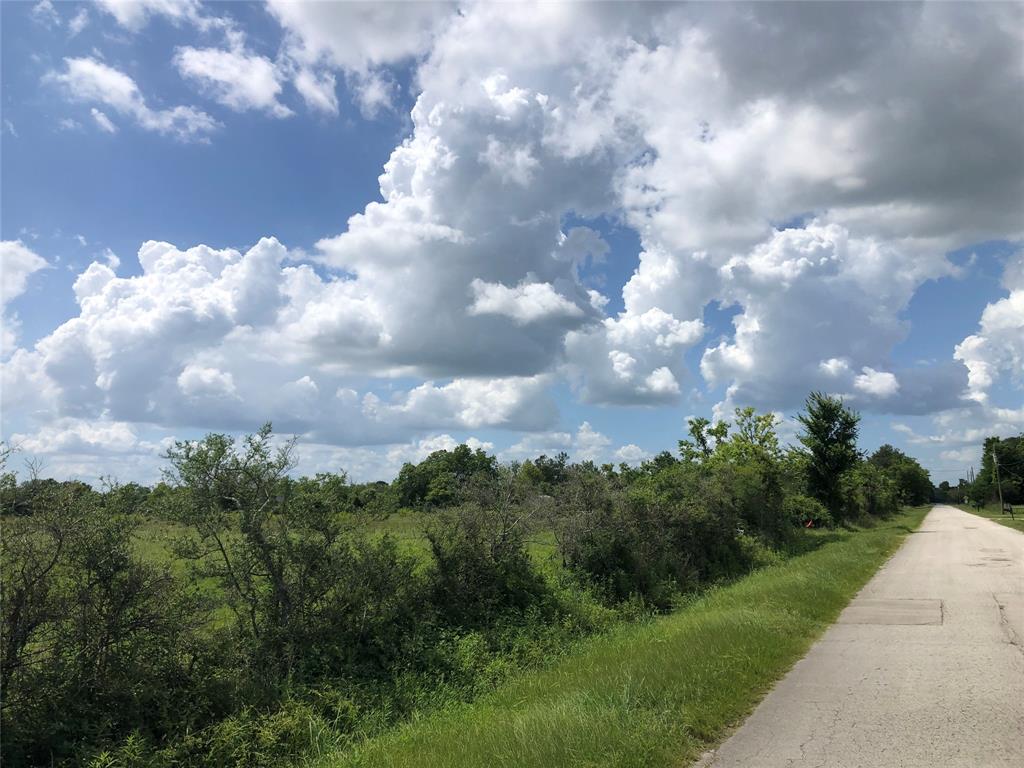 TBD County Road 182, Raywood, Texas image 7