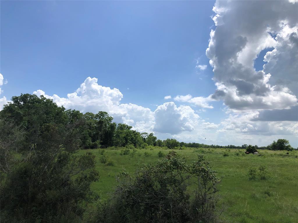 TBD County Road 182, Raywood, Texas image 15