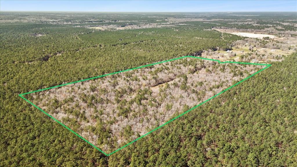 49.795 Acres S Elizabeth Lane, Orange, Texas image 4