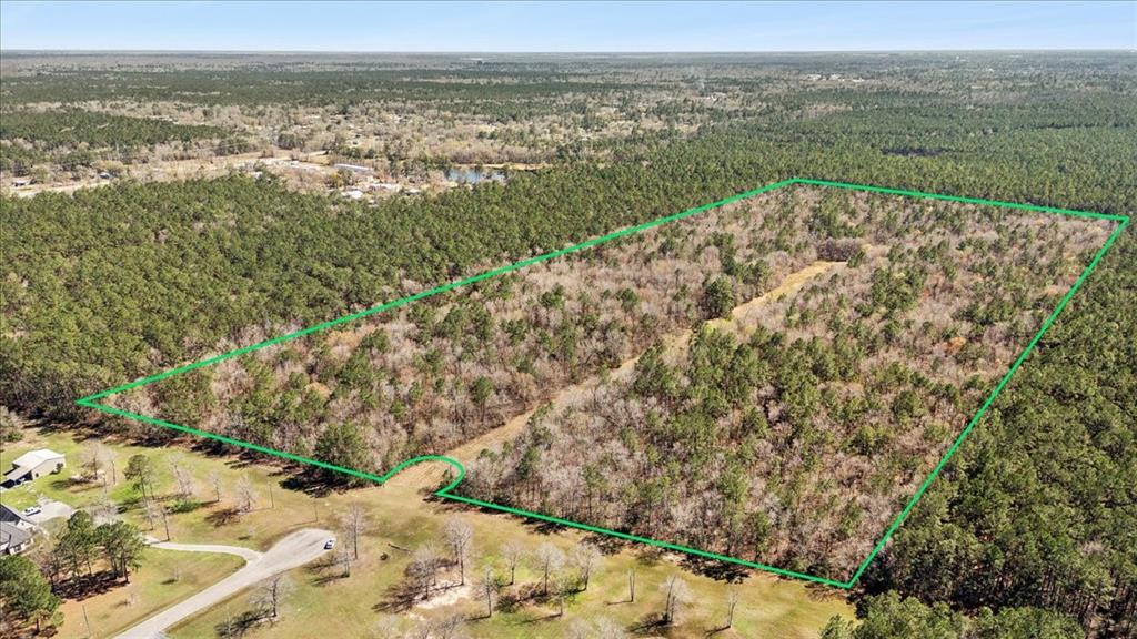 49.795 Acres S Elizabeth Lane, Orange, Texas image 3
