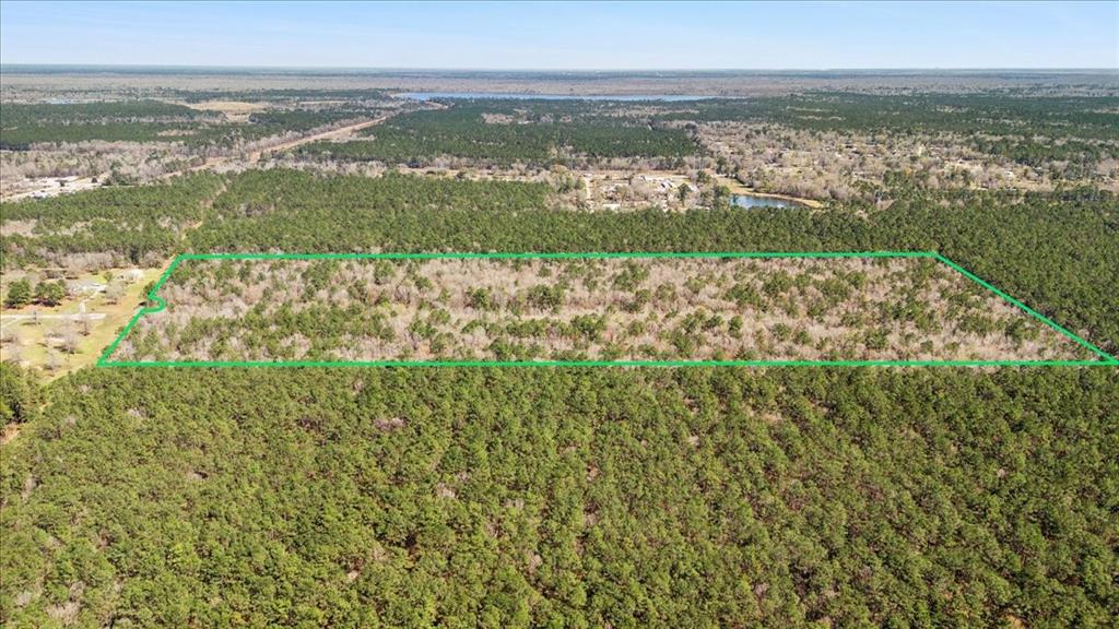 49.795 Acres S Elizabeth Lane, Orange, Texas image 8