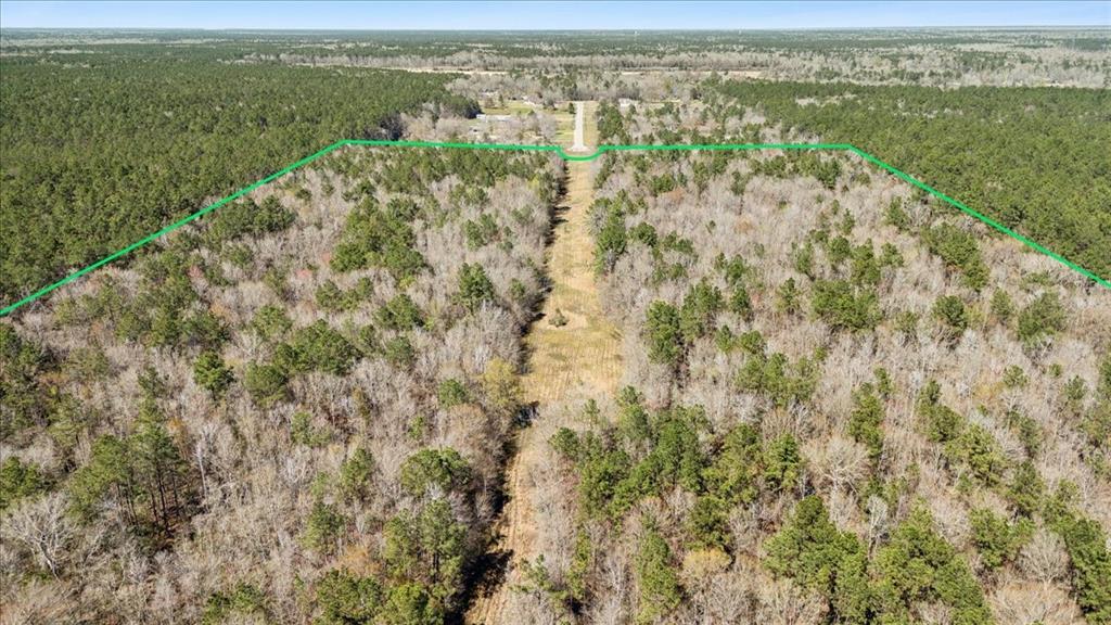 49.795 Acres S Elizabeth Lane, Orange, Texas image 6