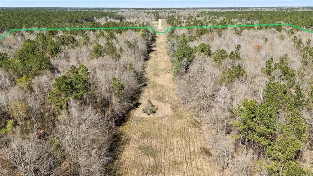 49.795 Acres S Elizabeth Lane, Orange, Texas image 7