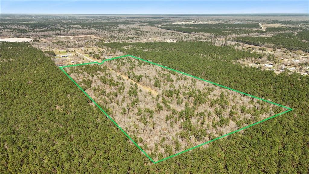 49.795 Acres S Elizabeth Lane, Orange, Texas image 5