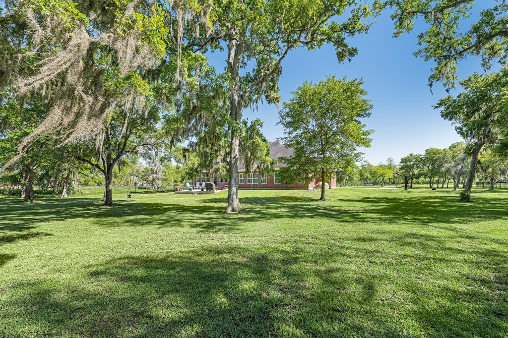 31726 Bayou Bend Boulevard, Richwood, Texas image 5