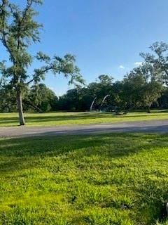 2919 Oakwood Shores Drive, Richwood, Texas image 5