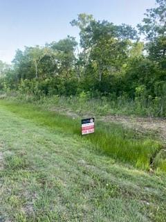 2919 Oakwood Shores Drive, Richwood, Texas image 8