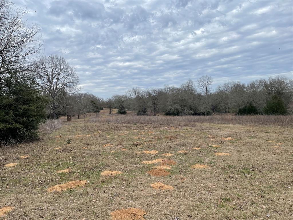 259 Fcr 280, Oakwood, Texas image 14