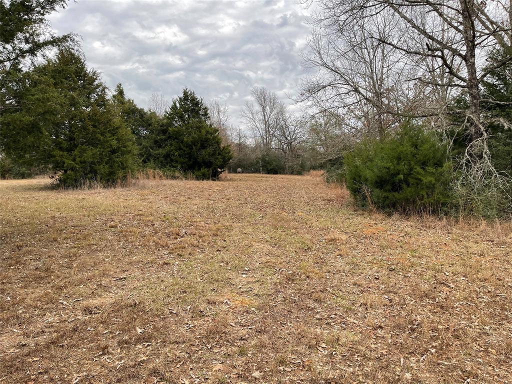 259 Fcr 280, Oakwood, Texas image 15