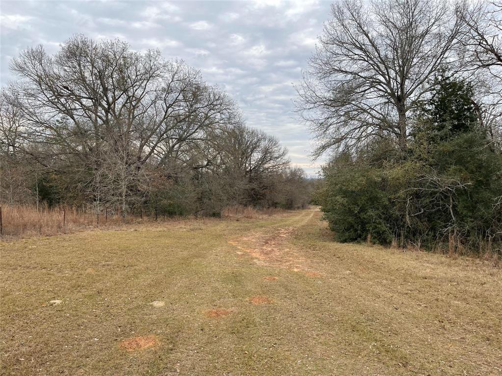 259 Fcr 280, Oakwood, Texas image 17