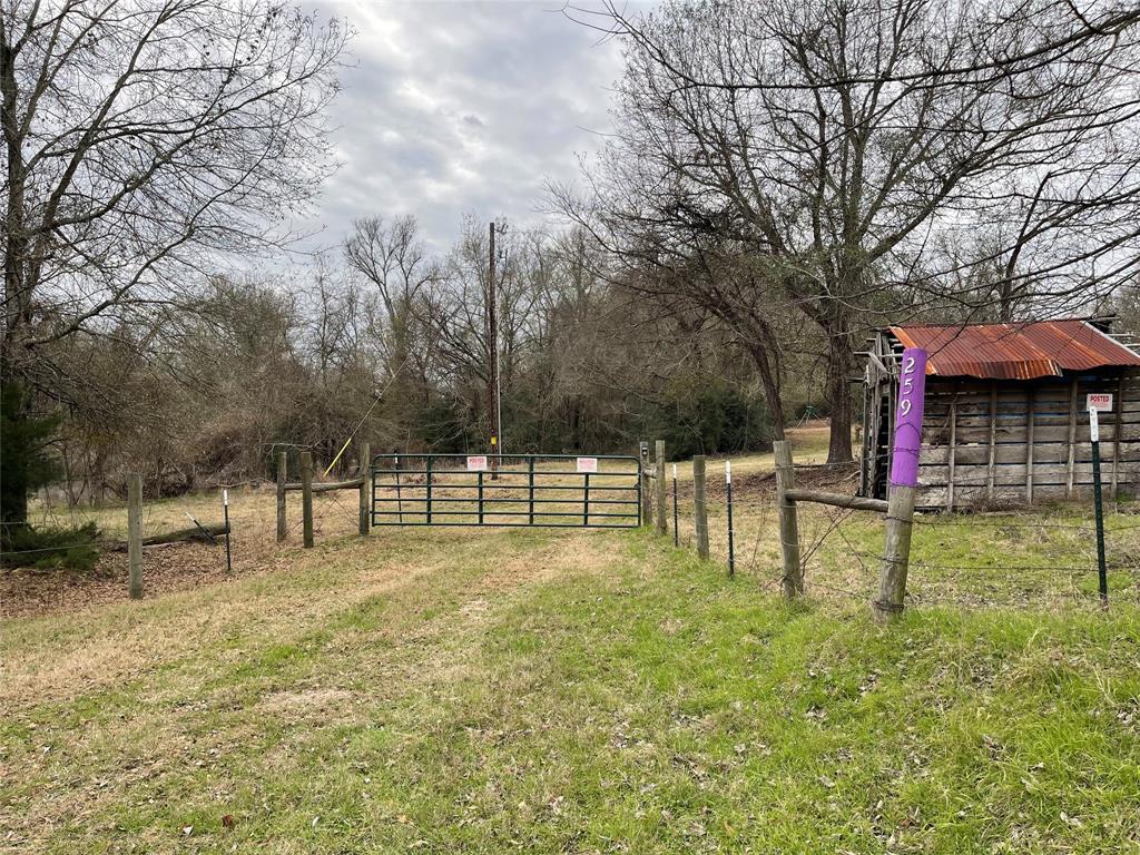 259 Fcr 280, Oakwood, Texas image 2